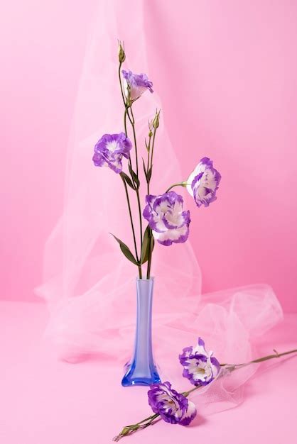 Free Photo Beautiful Purple Flowers In Vase Still Life
