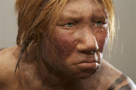 Neanderthal Woman Google Search Dna History Mixed Race Girls
