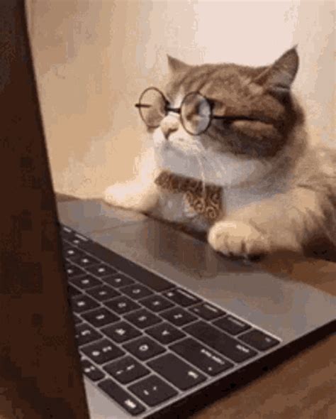 Laptop Gif Laptop Discover Share Gifs