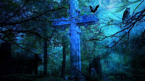 Gothic Forest Wallpapers Top Free Gothic Forest Backgrounds