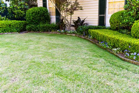 Creating Louisiana Friendly Lawns Satsuma Real Estate