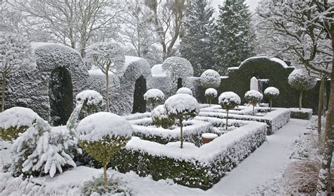 Winter Topiary Garden Covered In Snow Winter Landscape Winter Garden