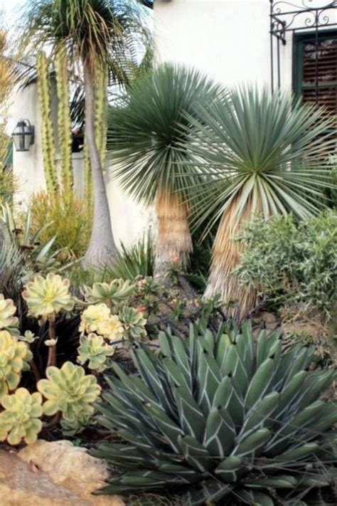32 Incredible Cactus Garden Landscaping Ideas Best For Summer Magzhouse