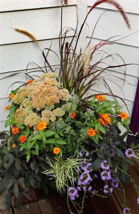 Today's topic is sweet potatoes. pot.zip | OregonLive.com | Container flowers, Garden ...