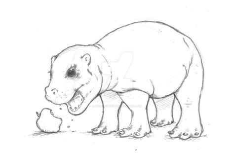 Baby Pygmy Hippo By Mikedastardly On Deviantart