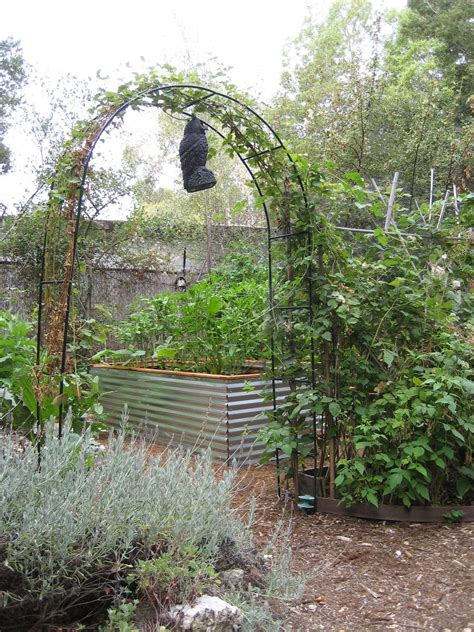 Entrance To A Secret Vegetable Garden Vegetable Garden Garden
