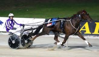 Australias Oldest Racing Pacer Retired Just Shy Of Thirteen Years Of