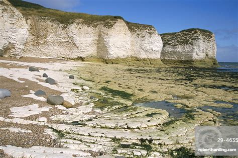 Wave Cut Platform And Chalk Cliffs Stock Photo