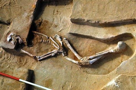 Mungo Man The Story Behind The Bones That Forever Changed Australias