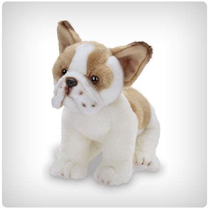 They possess a dark coat with the area of their head, toe, chest, and neck striped with white. 29 French Bulldog Gifts for the Frenchie Lover In Your ...