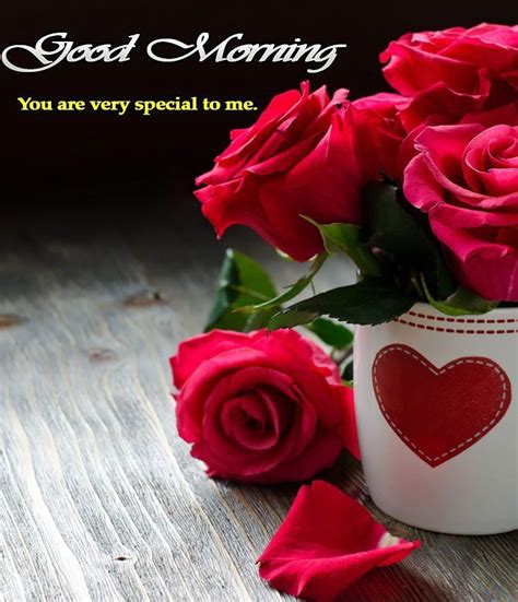 {amazing} good morning rose for girlfriend. Good Morning Romantic Rose Shayari - Pestcare Jakarta