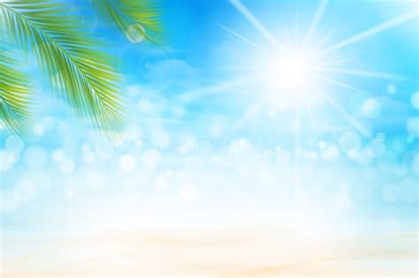 Summer Background Images Free Vectors Stock Photos And Psd