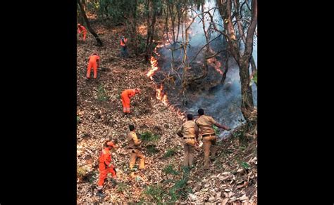 Fire In The Mountains Massive Blaze Engulfs Forest Of Uttarakhand