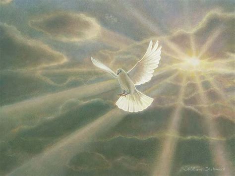 239 Best Dove Of Peaceholy Spirit Images On Pinterest