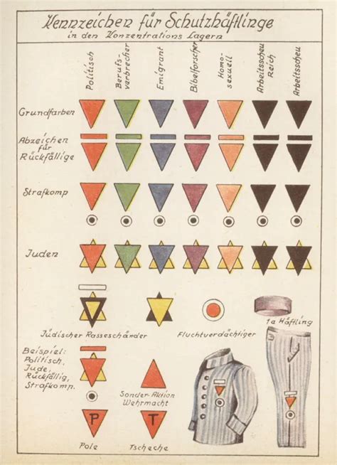 How The Nazi Pink Triangle Became A Gay Rights Symbol
