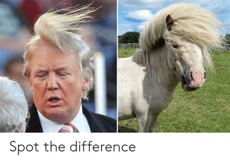 Spot The Difference Funny Meme On Meme