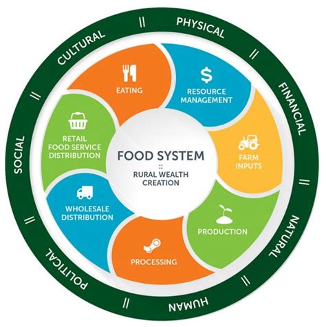 Food System Diagram Sociology Colorado State University