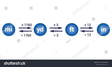 Us Customary Measurement System Length Stock Vector Royalty Free