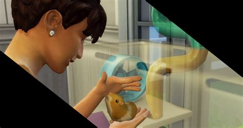 How To Take Care Of Rodents In The Sims 4 Sims Online