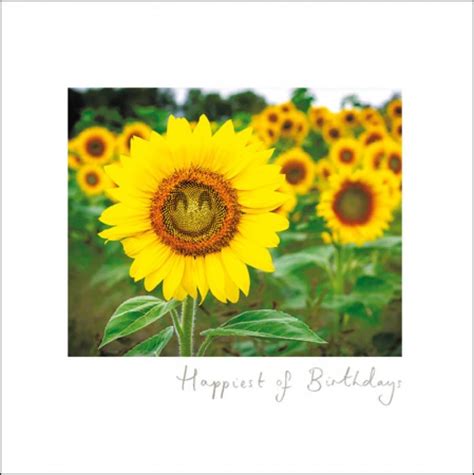 Birthday Greeting Card Male Sunflower Highworth Emporium