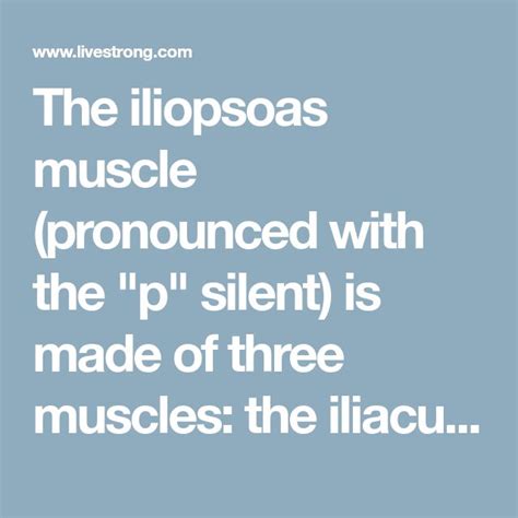 Exercises For Iliopsoas Muscle Exercise Livestrong