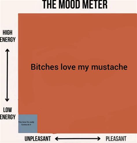 The Mood Meter Bitches Love My Mustache The Mood Meter Know Your Meme