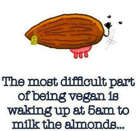 38 Funny Vegan Quotes Your Sustainable Guide