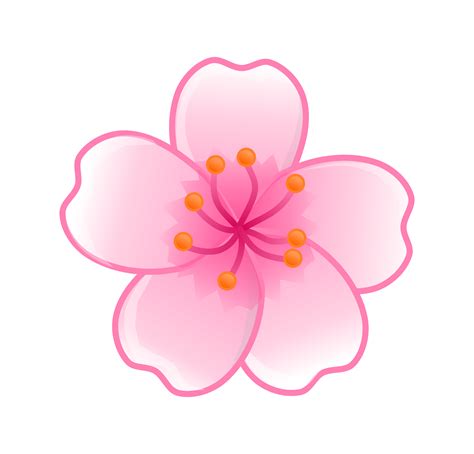 Sakura Flower Png Sakura Flower Png Transparent Free For Download On