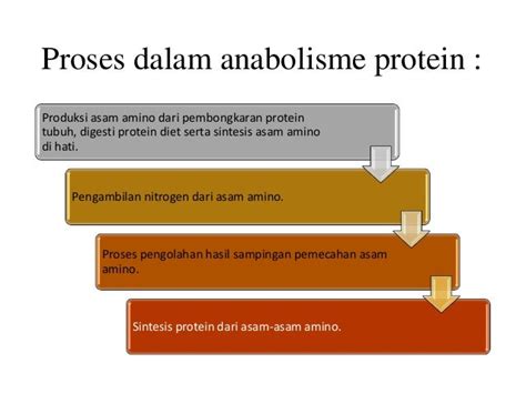 Metabolisme Protein Transaminasi Dan Deaminasi