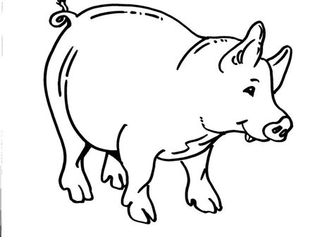 Giochi e disegni da colorare per bambini. Maialino disegno da colorare per bambini - disegni da ...
