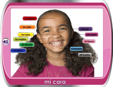 Spanish For Children Español Para Niños My Face Mi Cara