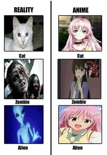 Anime Vs Reality Anime Amino