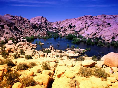 Beautiful Places Around The Globe Joshua Tree National