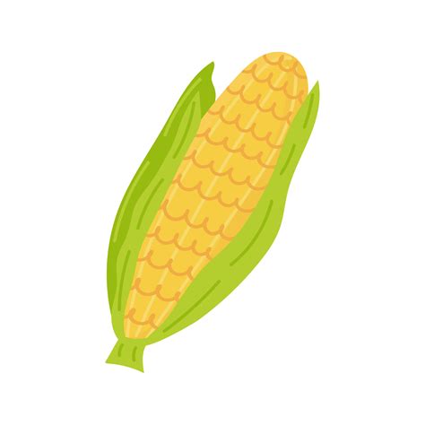 Ear Of Corn Doodle Isolated On White Background Stylized Product Cute