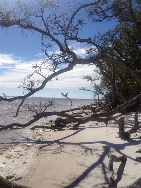 St. Joe bay @ St. Joseph State Park | Emerald coast florida, Nature