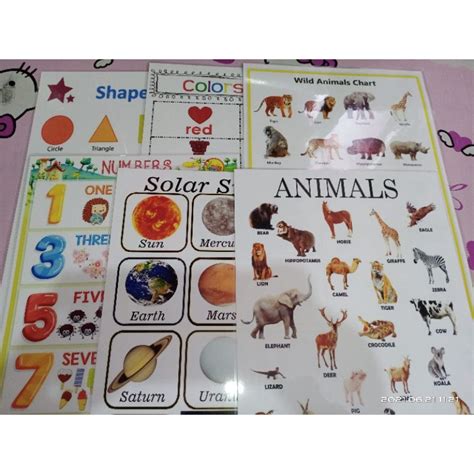 Educational Wall Chart Poster Laminated A4 Shopee Philippines