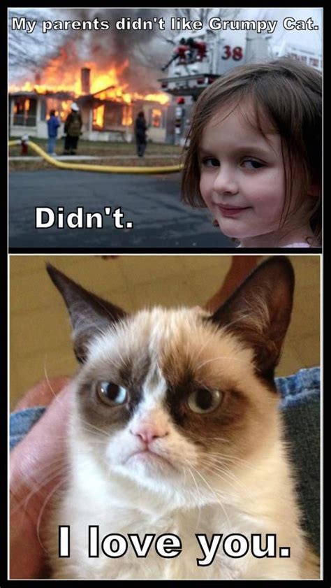 Pin By Susan Tetreault On Grumpy Cat Funny Grumpy Cat Memes Grumpy