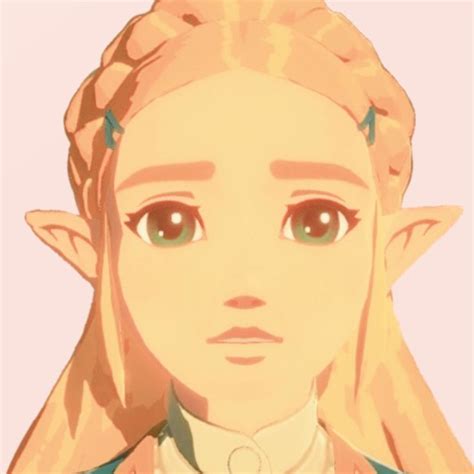 Princesa Zelda Botw Zelda Hyrule Warriors Legend Of Zelda Breath