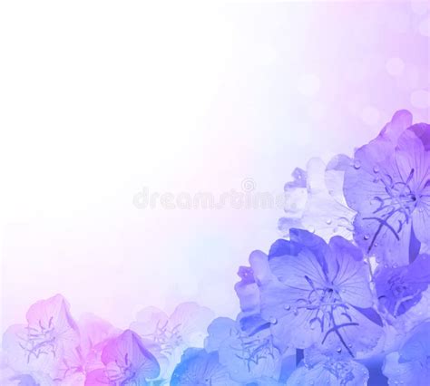 Blue Pink Flower Background Stock Illustration Illustration Of Light