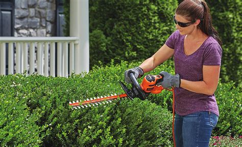 Best Hedge Trimmers For Your Shrubs