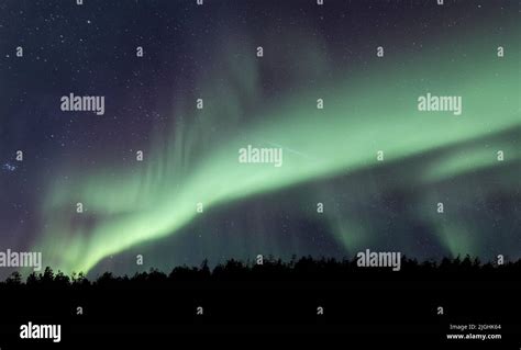 Colorful Aurora Borealis Northern Lights Over Trees Finnish Lapland