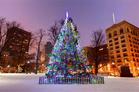 Christmas Tree On Boston Common Stock Photo Download Image Now