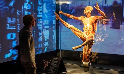 Body Worlds In New York Ny Groupon