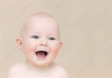 Happy Baby Stock Image F0024957 Science Photo Library