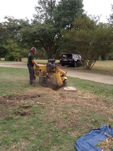 Stump Grinding Speedy Tree Services