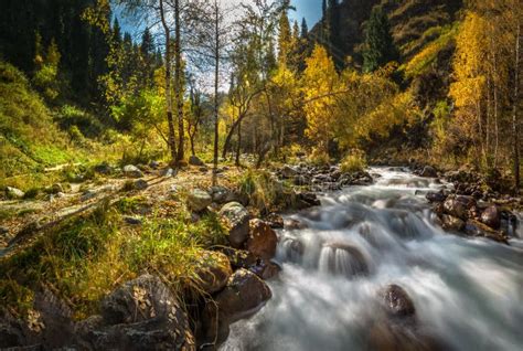 Autumn Landscape Mountain River Stock Photo Image Of Peace Nature