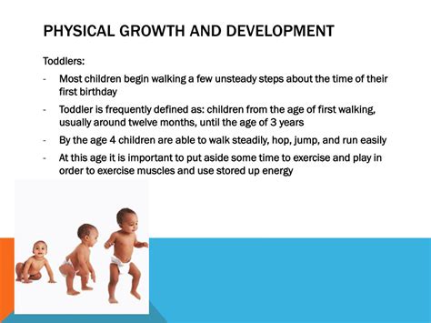 Ppt Physical Development Ages 1 3 Powerpoint Presentation Free