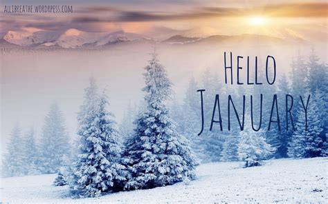 January Winter Desktop Wallpapers Top Free January Winter Desktop