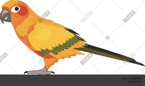 Vector Illustration Vector And Photo Free Trial Bigstock