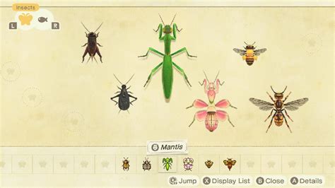 Animal Crossing New Horizons Insect Types Master Guide Prima Games